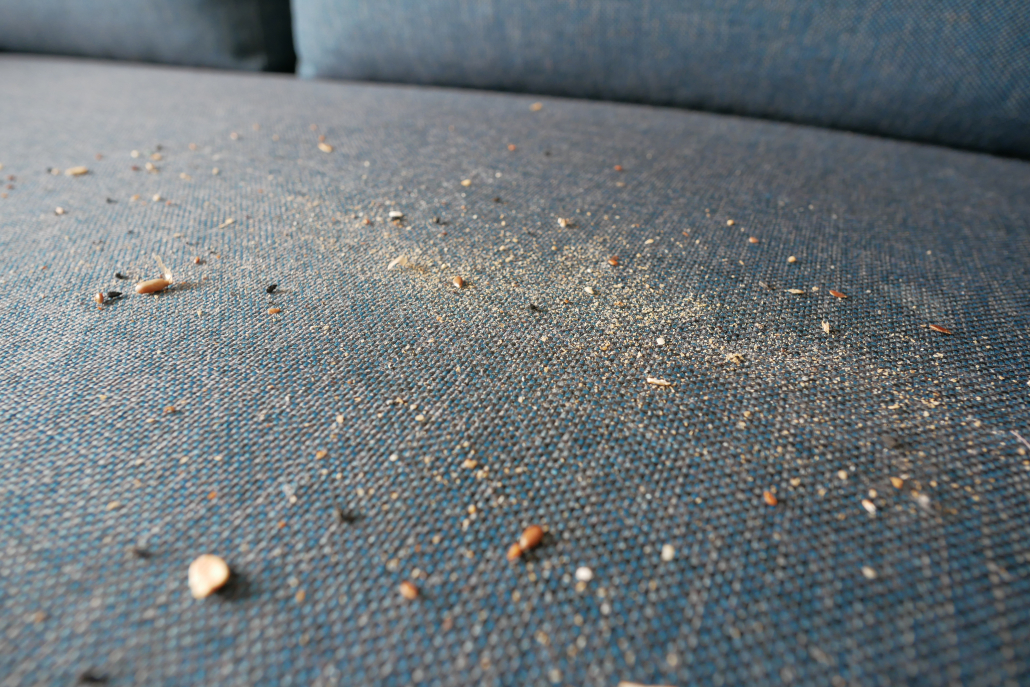 Сиво канапе с мръсно петно и прах, което изисква почистване.